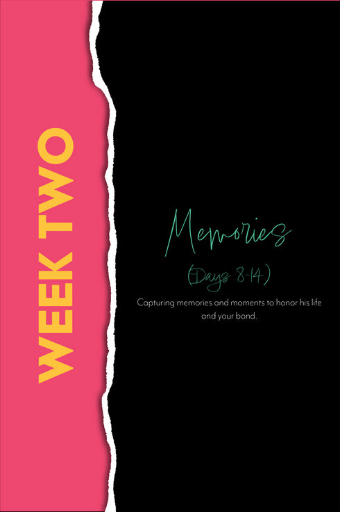 Dad, There's So Much I Want to Say... DIGITAL Download